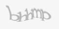 Защитный код
